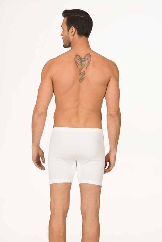 Beyaz Uzun Arjantin Boxer - NBB