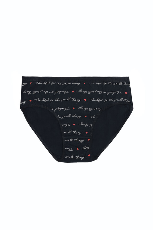 Renkli Büyük Beden Yüksek Bel 3'lü Bato Külot - NBB